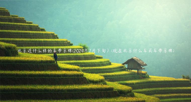 北京近什么样的车带京牌(2024年7月下旬）(现在北京什么车买车带京牌)