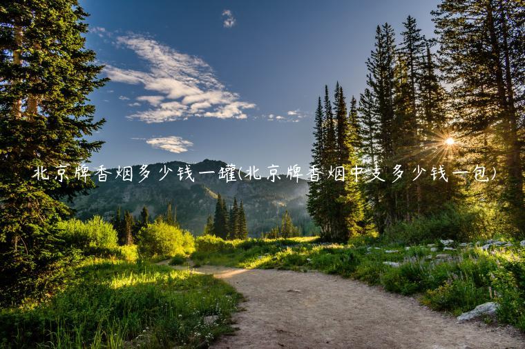 北京牌香烟多少钱一罐(北京牌香烟中支多少钱一包)