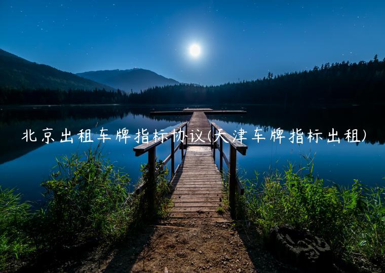 北京出租车牌指标协议(天津车牌指标出租)