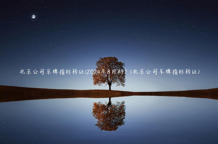北京公司京牌指标转让(2024年8月初）(北京公司车牌指标转让)