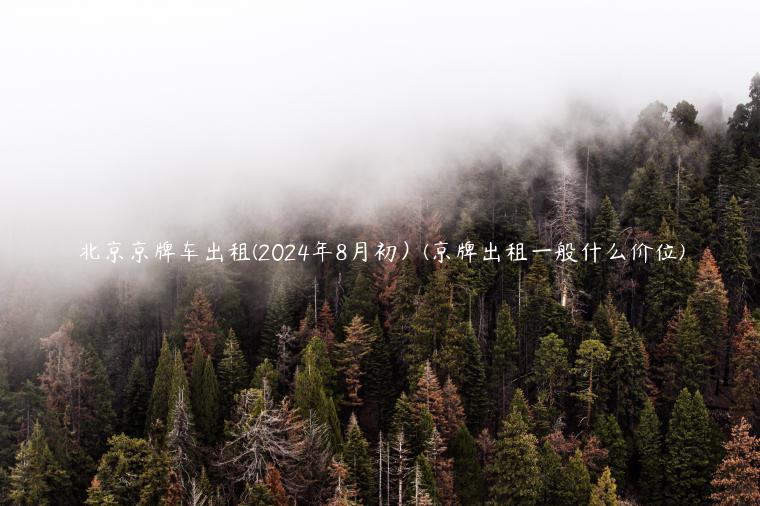 北京京牌车出租(2024年8月初）(京牌出租一般什么价位)