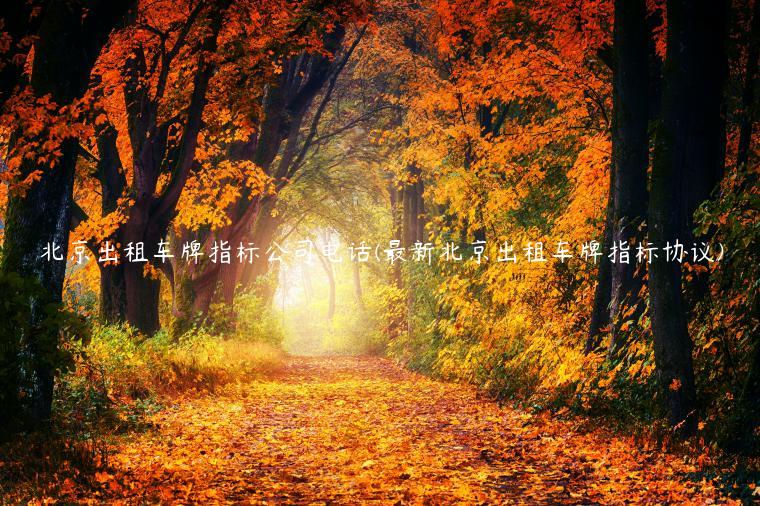 北京出租车牌指标公司电话(最新北京出租车牌指标协议)