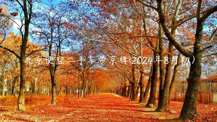 北京便宜二手车带京牌(2024年8月初）