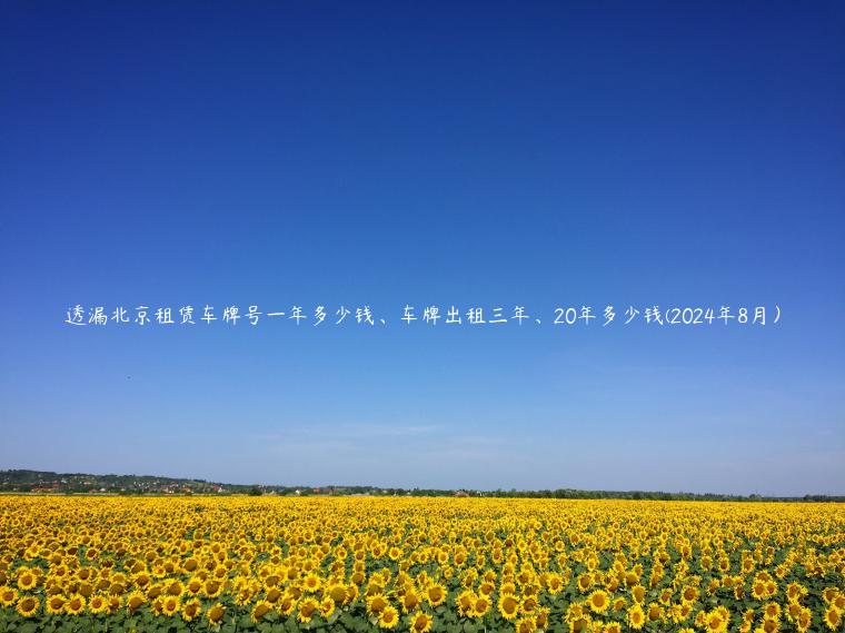 透漏北京租赁车牌号一年多少钱、车牌出租三年、20年多少钱(2024年8月）