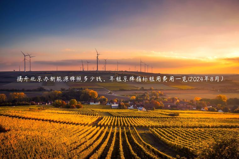 揭开北京办新能源牌照多少钱、年租京牌指标租用费用一览(2024年8月）
