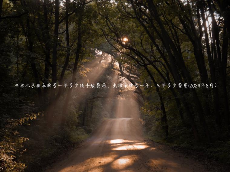 参考北京租车牌号一年多少钱手续费用、出租车牌号一年、三年多少费用(2024年8月）