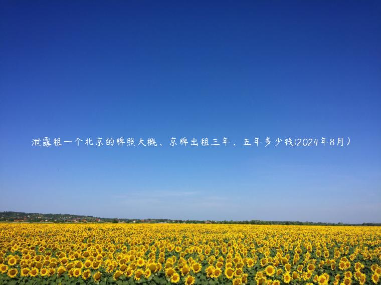 泄露租一个北京的牌照大概、京牌出租三年、五年多少钱(2024年8月）