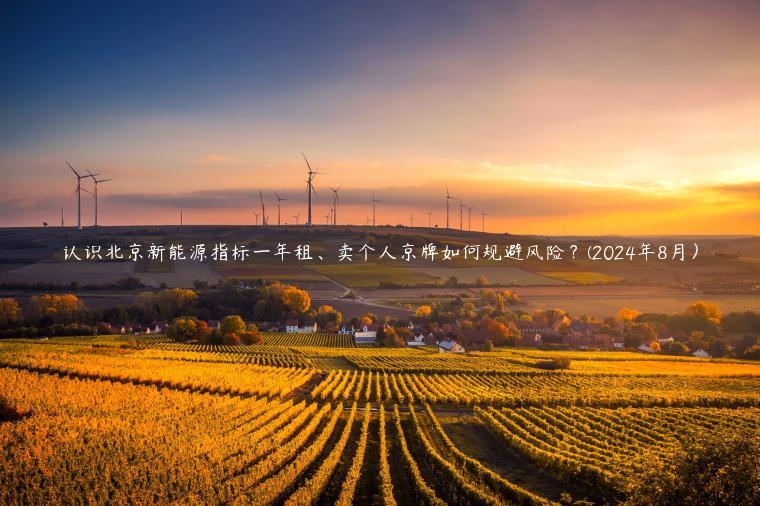 认识北京新能源指标一年租、卖个人京牌如何规避风险？(2024年8月）
