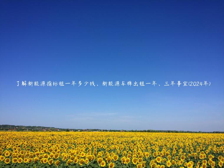 了解新能源指标租一年多少钱、新能源车牌出租一年、三年事宜(2024年)