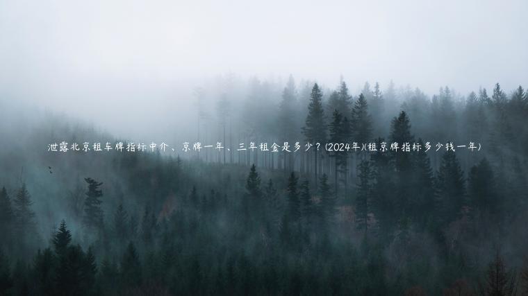 泄露北京租车牌指标中介、京牌一年、三年租金是多少？(2024年)(租京牌指标多少钱一年)