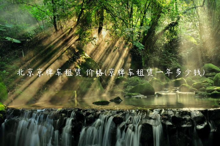 北京京牌车租赁 价格(京牌车租赁一年多少钱)
