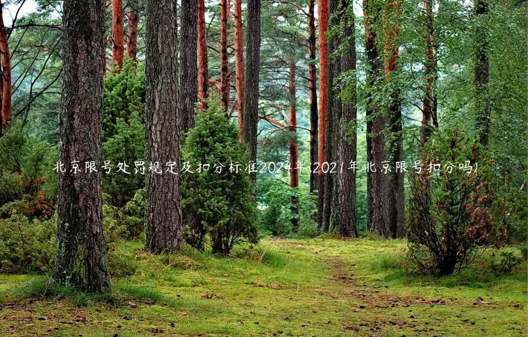北京限号处罚规定及扣分标准2024年(2021年北京限号扣分吗)