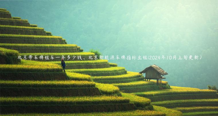 北京带车牌租车一年多少钱、北京新能源车牌指标出租(2024年10月上旬更新）