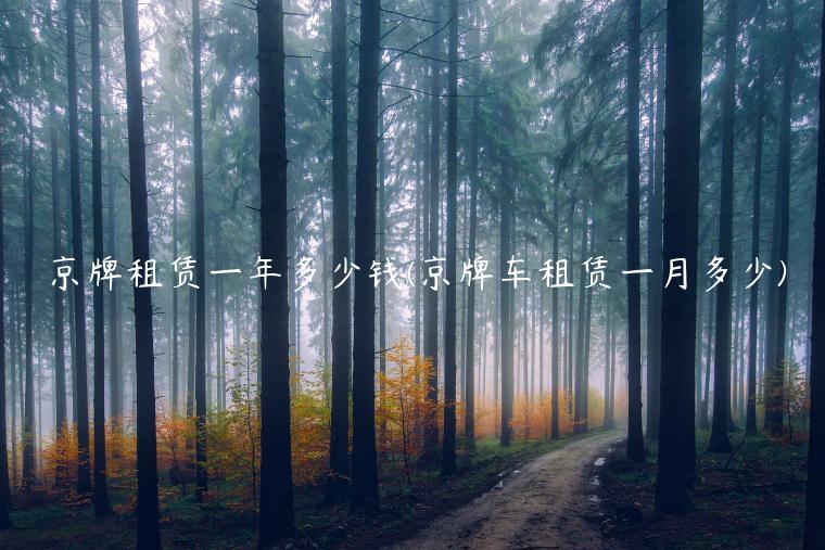 京牌租赁一年多少钱(京牌车租赁一月多少)