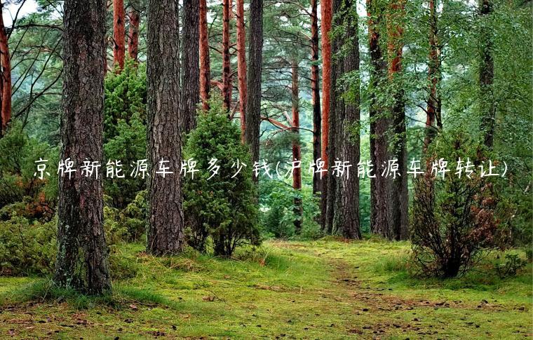 京牌新能源车牌多少钱(沪牌新能源车牌转让)