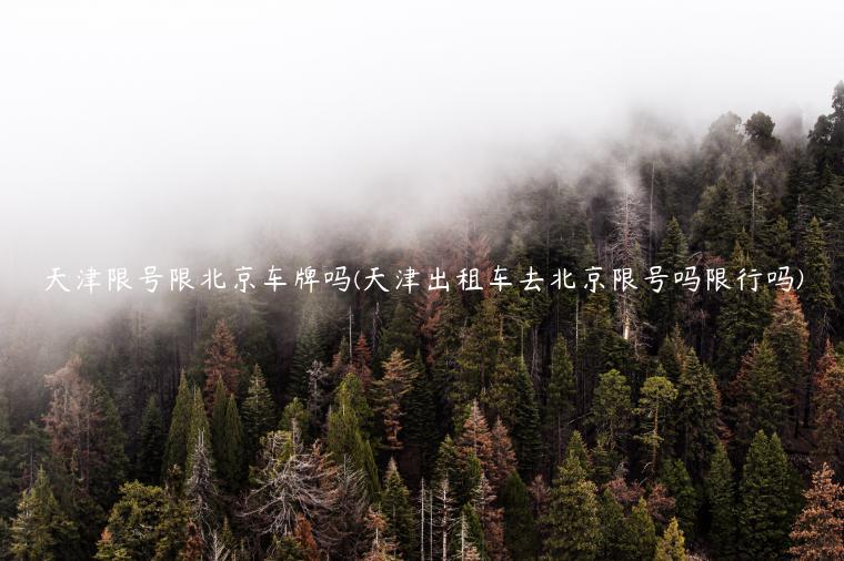 天津限号限北京车牌吗(天津出租车去北京限号吗限行吗)