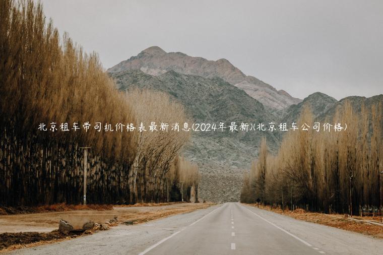 北京租车带司机价格表最新消息(2024年最新)(北京租车公司价格)