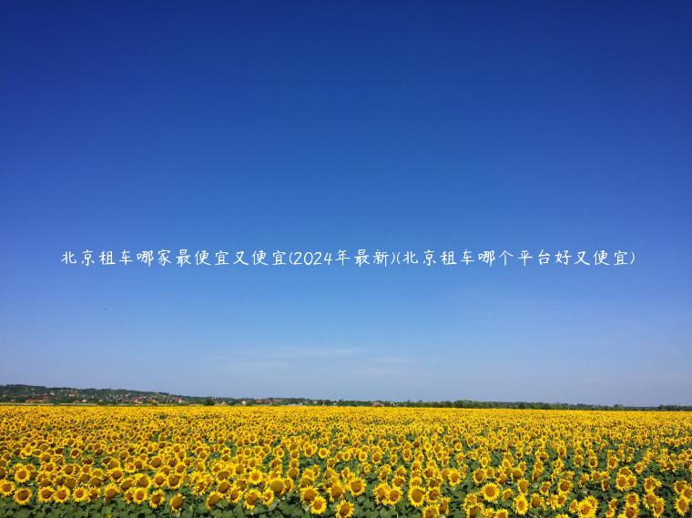北京租车哪家最便宜又便宜(2024年最新)(北京租车哪个平台好又便宜)