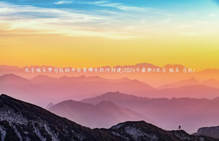 北京租车带司机的平台有哪些软件好使(2024年最新)(北京 租车 司机)