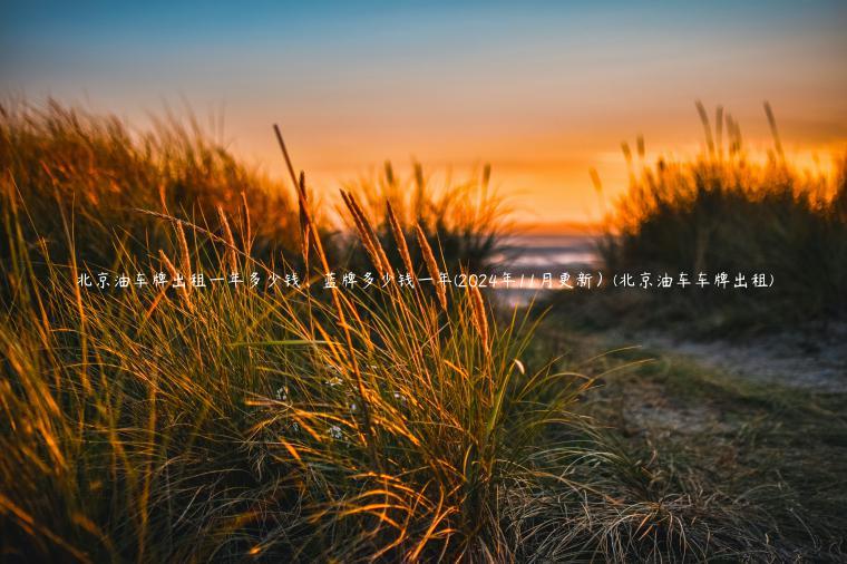 北京油车牌出租一年多少钱、蓝牌多少钱一年(2024年11月更新）(北京油车车牌出租)