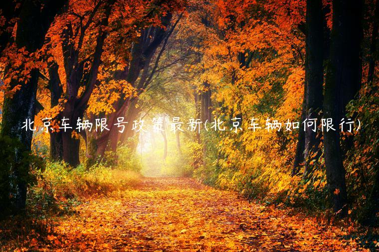 北京车辆限号政策最新(北京车辆如何限行)
