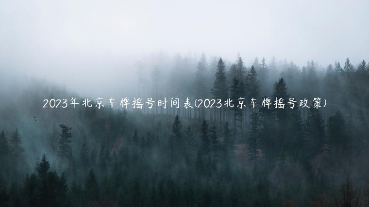 2023年北京车牌摇号时间表(2023北京车牌摇号政策)