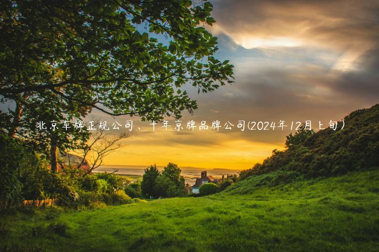 北京车牌正规公司、十年京牌品牌公司(2024年12月上旬）
