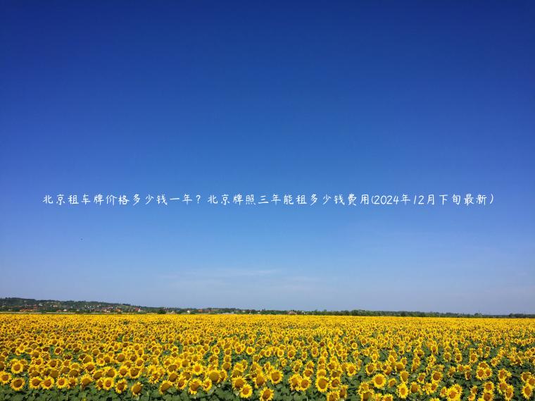 北京租车牌价格多少钱一年？北京牌照三年能租多少钱费用(2024年12月下旬最新）