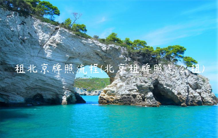 租北京牌照流程(北京租牌照怎么租)