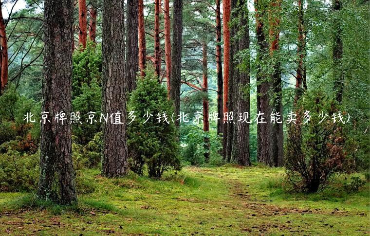 北京牌照京N值多少钱(北京牌照现在能卖多少钱)