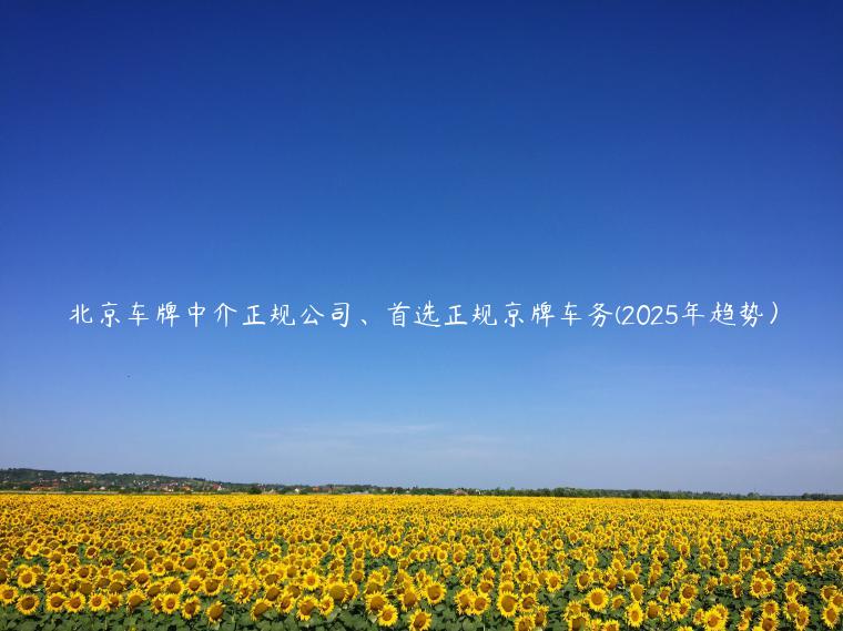北京车牌中介正规公司、首选正规京牌车务(2025年趋势）