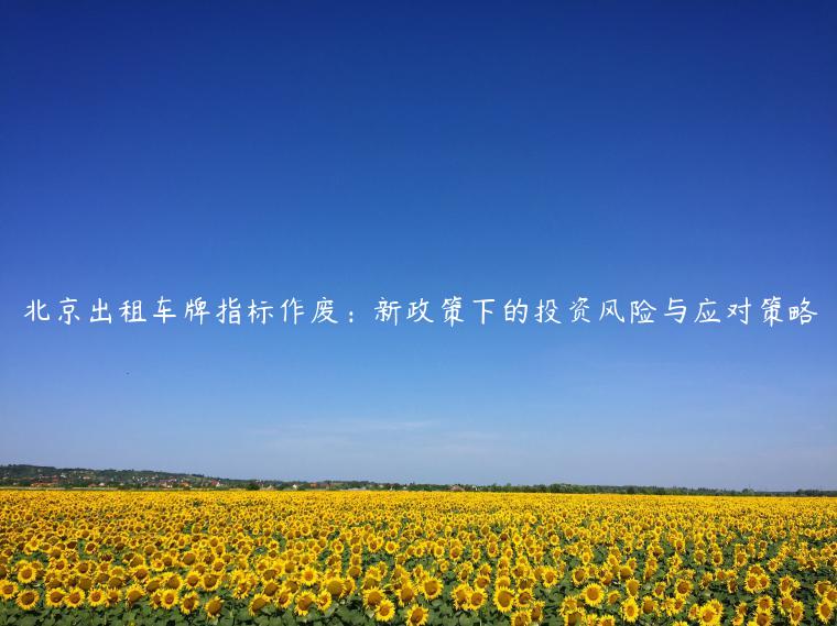 北京出租车牌指标作废：新政策下的投资风险与应对策略