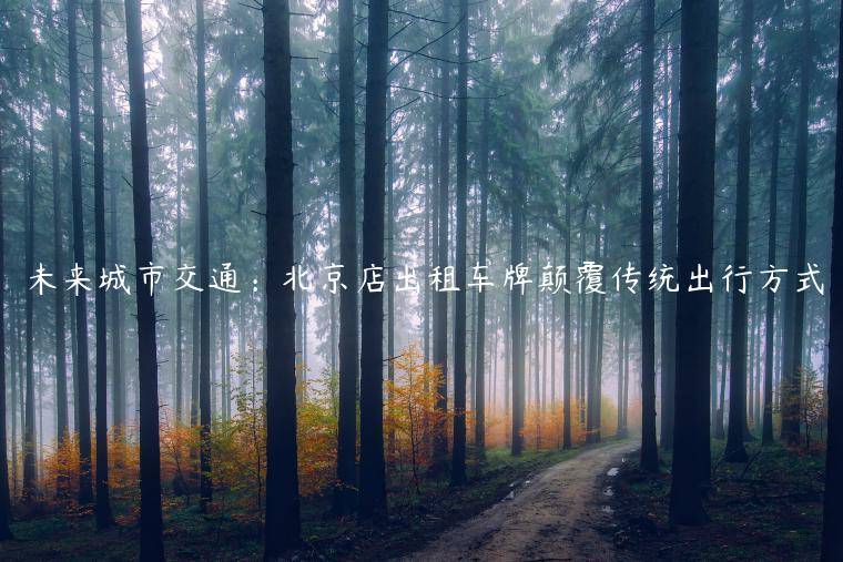 未来城市交通：北京店出租车牌颠覆传统出行方式