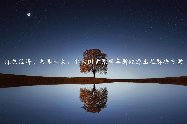 绿色经济，共享未来：个人闲置京牌车新能源出租解决方案