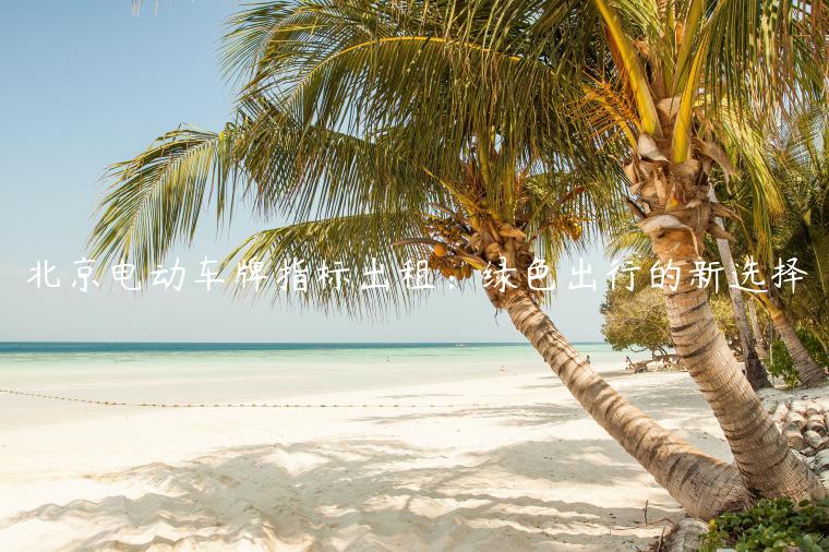 北京电动车牌指标出租：绿色出行的新选择