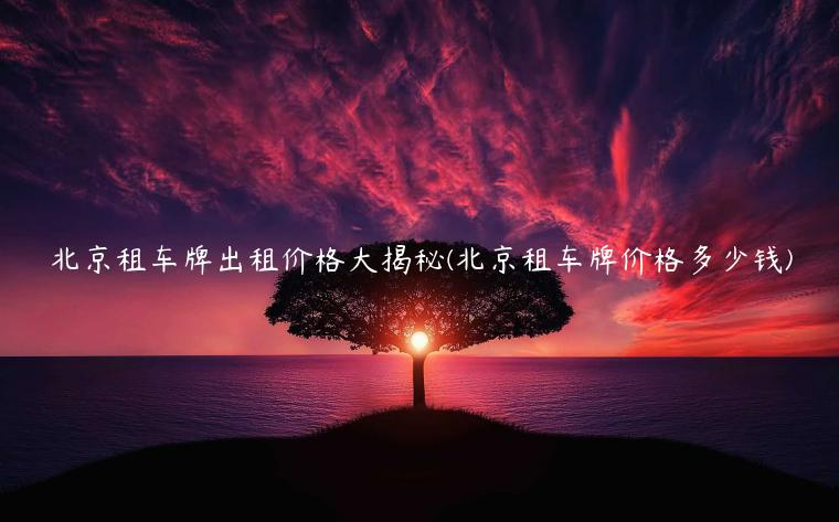 北京租车牌出租价格大揭秘(北京租车牌价格多少钱)