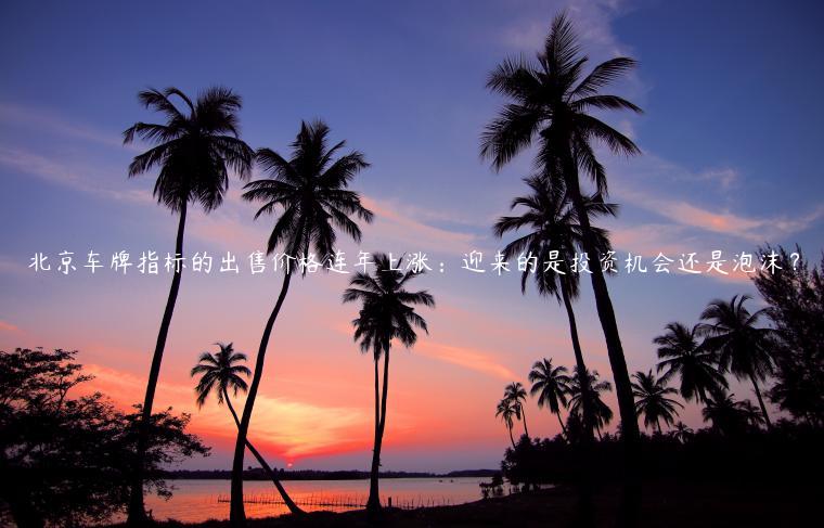 北京车牌指标的出售价格连年上涨：迎来的是投资机会还是泡沫？