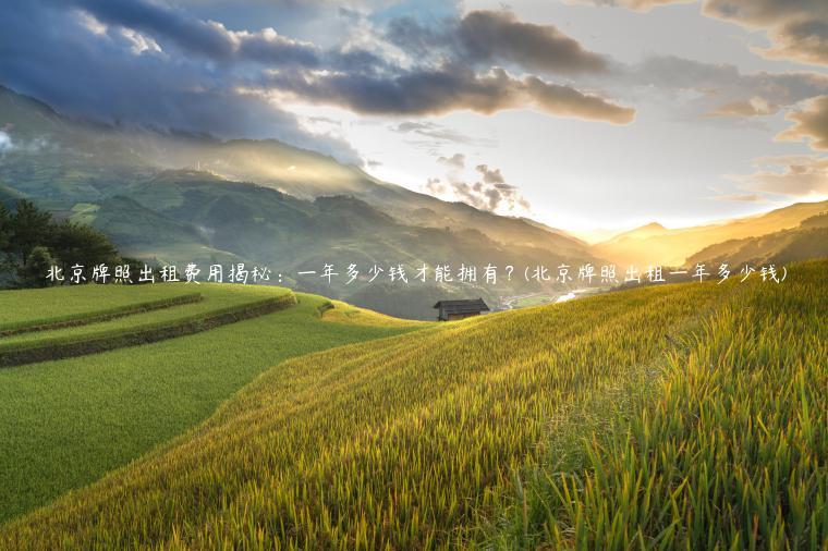 北京牌照出租费用揭秘：一年多少钱才能拥有？(北京牌照出租一年多少钱)