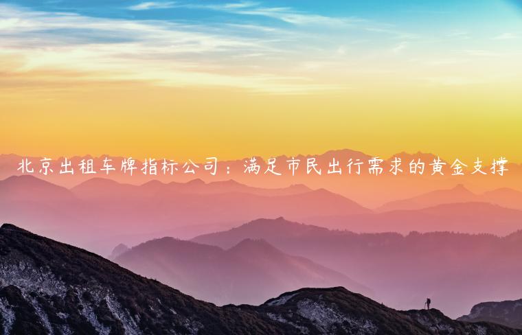 北京出租车牌指标公司：满足市民出行需求的黄金支撑