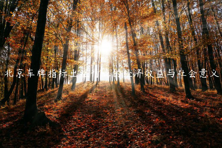北京车牌指标出租行业的经济效益与社会意义