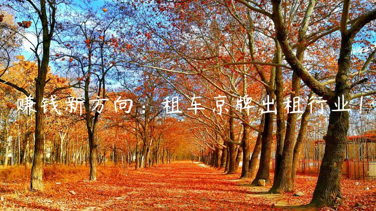 赚钱新方向：租车京牌出租行业！