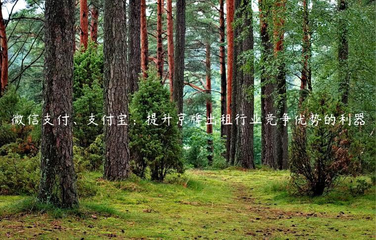 微信支付、支付宝：提升京牌出租行业竞争优势的利器
