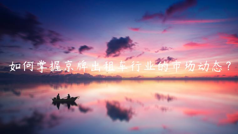 如何掌握京牌出租车行业的市场动态？