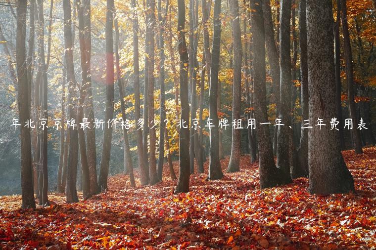 年北京京牌最新价格多少？北京车牌租用一年、三年费用表