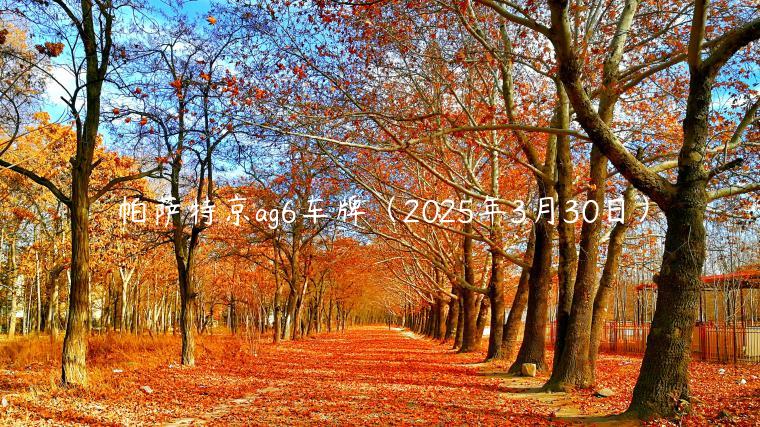 帕萨特京ag6车牌（2025年3月30日）