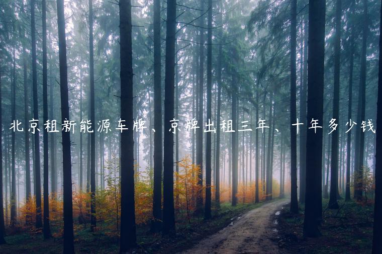 北京租新能源车牌、京牌出租三年、十年多少钱