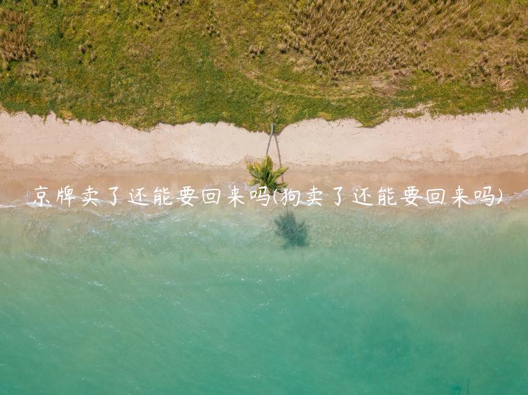 京牌卖了还能要回来吗(狗卖了还能要回来吗)