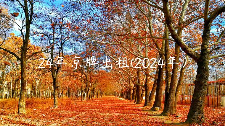 24年京牌出租(2024年）