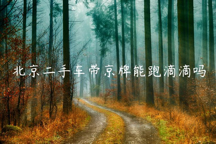 北京二手车带京牌能跑滴滴吗