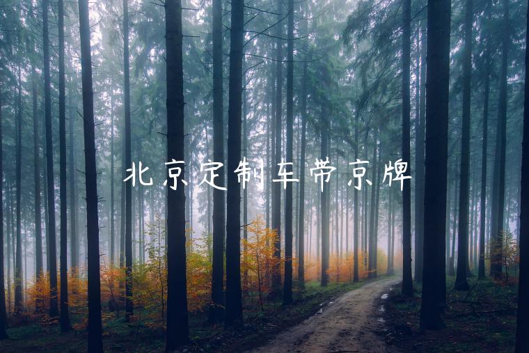 北京定制车带京牌